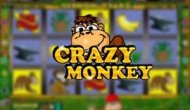 Обезьянки (crazy monkey)