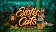 Редкие кошки (Exotic Cats)